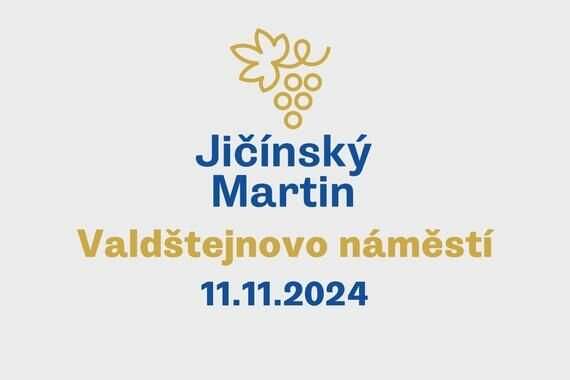 Jičínský Martin 