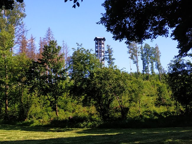 Weifberg