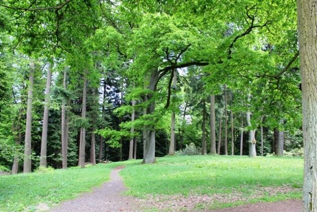Arboretum Bukovina